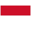 flag of Indonesia