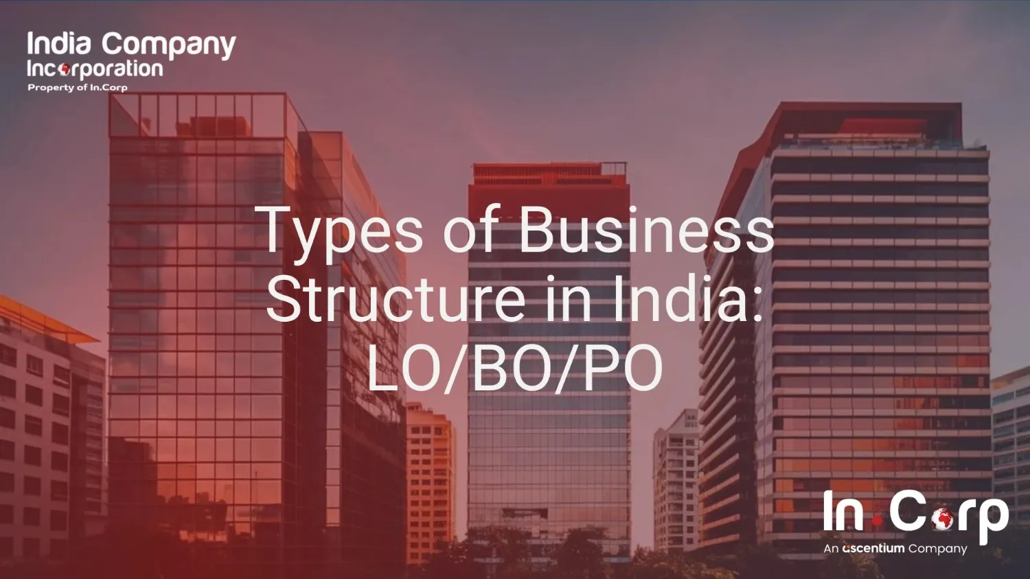 Types of business structure in India